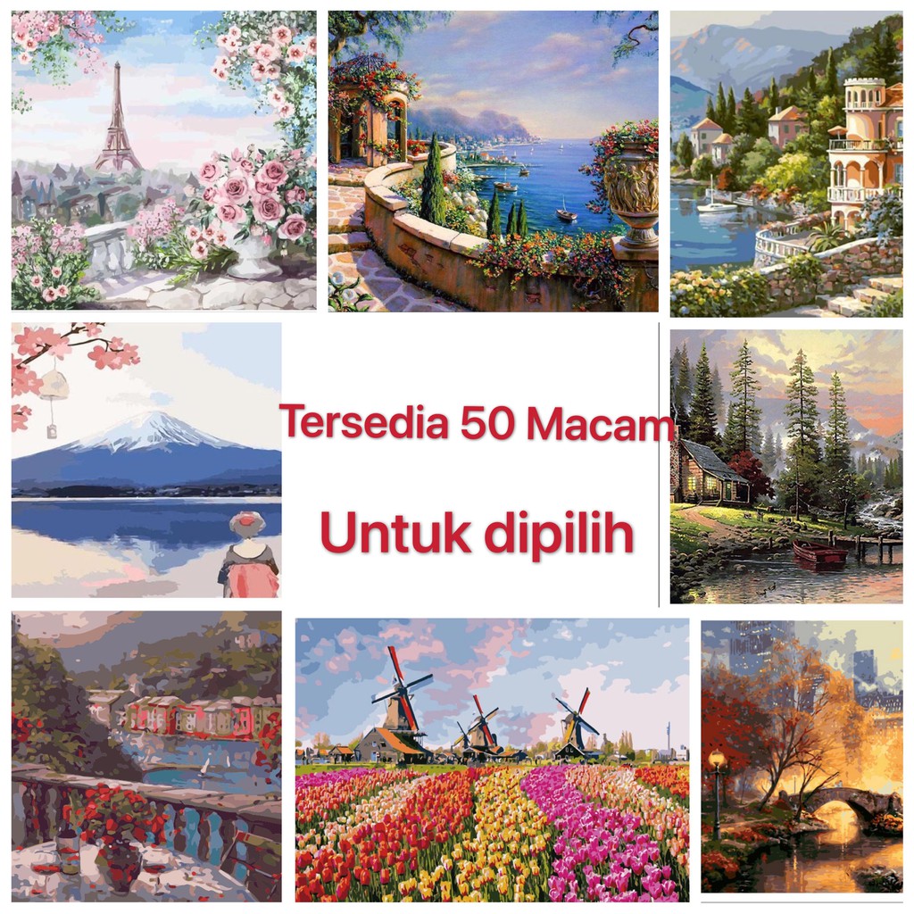 

40x50cm Canvas Paint By Number Kit Digital Oil Painting DIY Painting kit Lukisan RB9