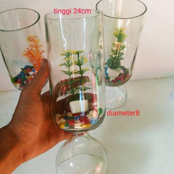 Topϟsale botol tabung toples tempat ikan cupang aquarium mini soliter kaca cembung