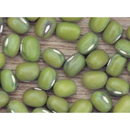 

KACANG HIJAU 1000GRAM NATURAL MUNGBEAN 1KG