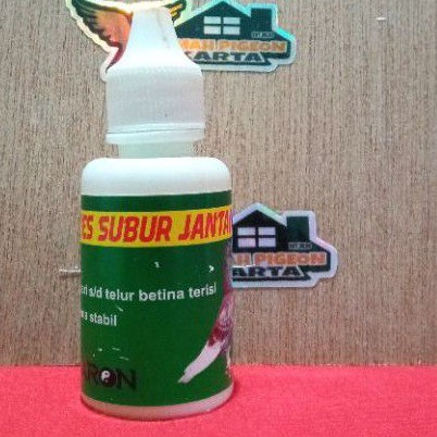 obat tetes subur jantan baron burung dara merpati muda gejala ringan player mandul tidak bergairah