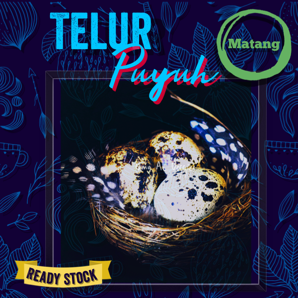 

TELUR PUYUH MATANG / QUAIL EGGS Per Pack (10 Pcs)