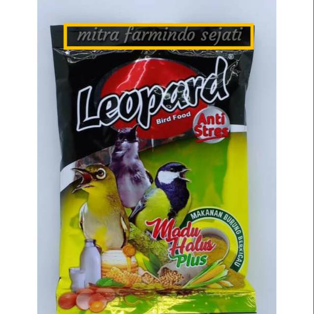 LEOPARD MADU/ RUMPUT LAUT