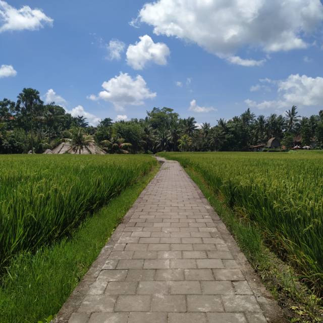 putudenantabayugunaperteka