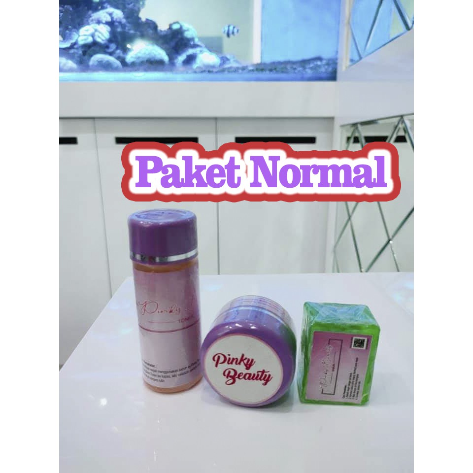 Pinky Beauty Normal Cream Pemutih Wajah Glowing Anti Keriput Acne Kosmetik Perawatan Kecantikan