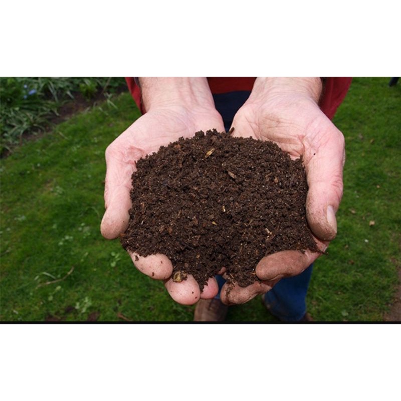 pupuk organik (Kohe) ayam murni fermentasi tidak bau