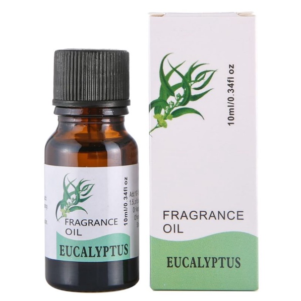 Aromatherapy Essential Oil Diffuser pengharum Ruangan Humidifier Water Base Water Slouble-Oil Eucalyptus