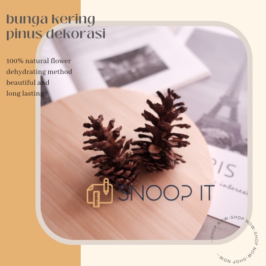 dried flower bunga kering pinus pine cone hiasan dekorasi christmas natal kerajinan tangan terranium properti foto