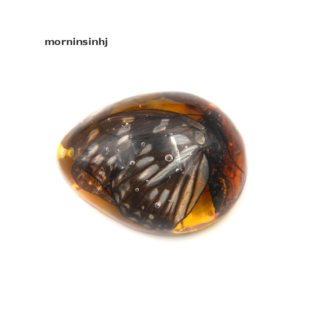 Mornin Liontin Kupukupu Bahan Resin Warna Amber