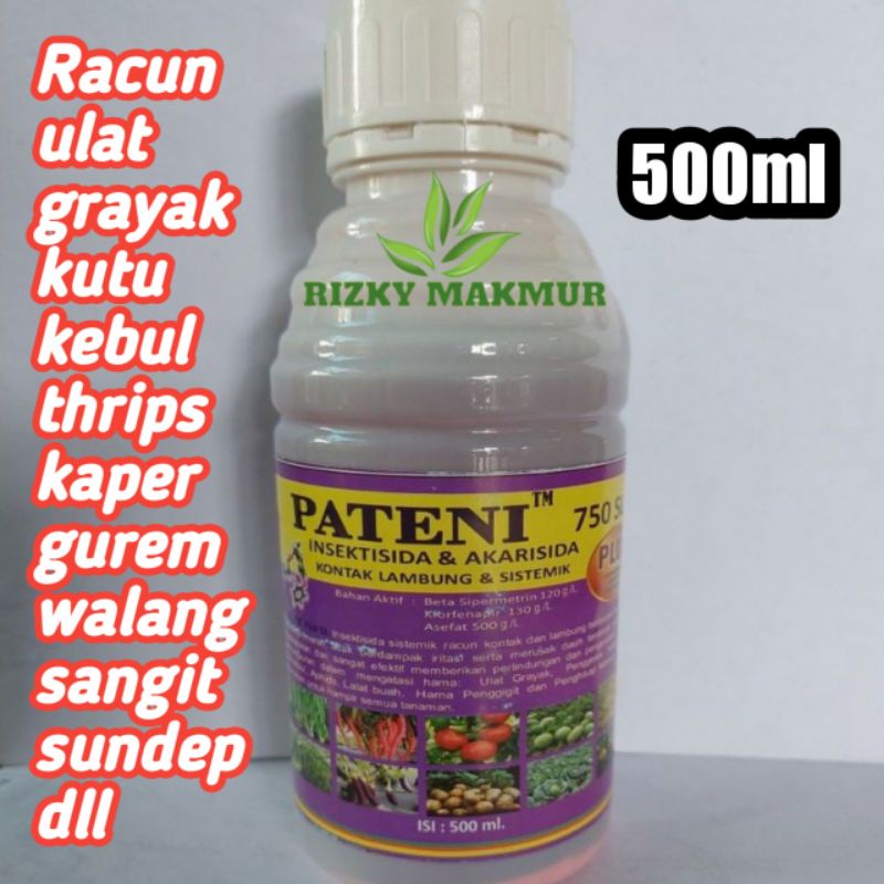 Insektisida/ Racun Pateni 500ml