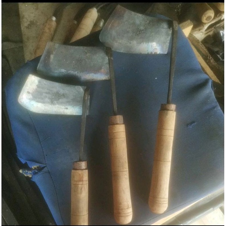 TENGKUIT RUMPUT/KORET