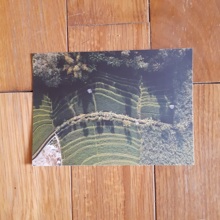 [A-10] Kartu Pos/Postcard Ladang Padi Canggu