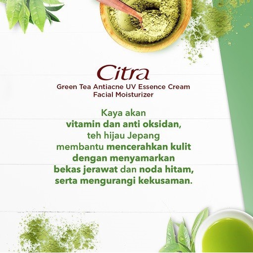 CITRA ESSENCE CREAM  FACIAL MOISTURIZER/PELEMBAB WAJAH  40 G