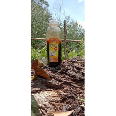 

Madu Akasia