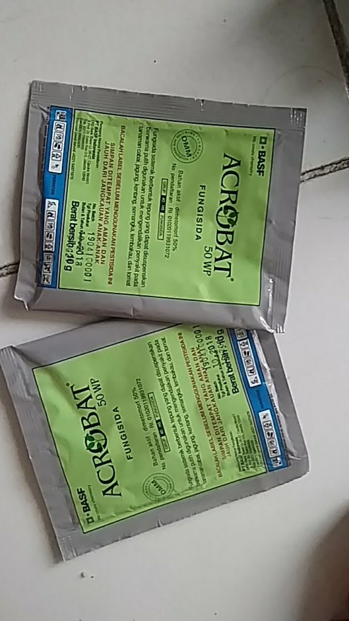 Fungisida Acrobat 50wp 10gram