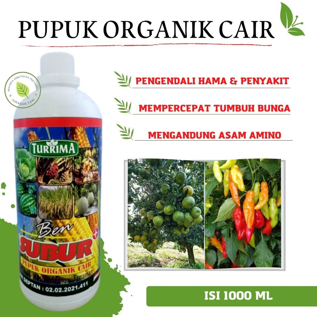 Pupuk Cabai Agar Cepat Merah, Pupuk Organik Cabai Agar Berbuah Lebat, Pupuk Organik Cair