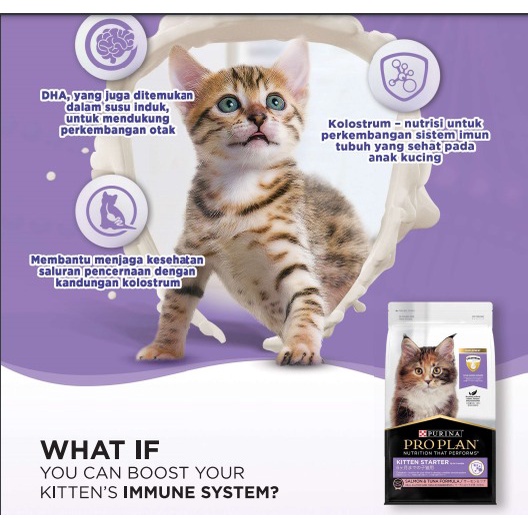 [KHUSUS EKSPEDISI] PROPLAN Kitten Starter Salmon &amp; Tuna Formula  Makanan Kucing Freshpack 8 Kg