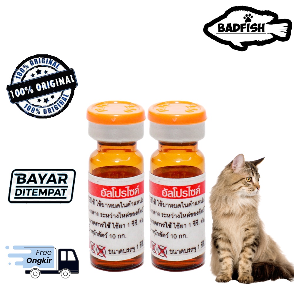 OBAT KUTU KUCING ANGGORA PERSIA PEAKNOISE - DETICK 1ml ( AMPUH DAN AMAN UNTUK KITTEN )