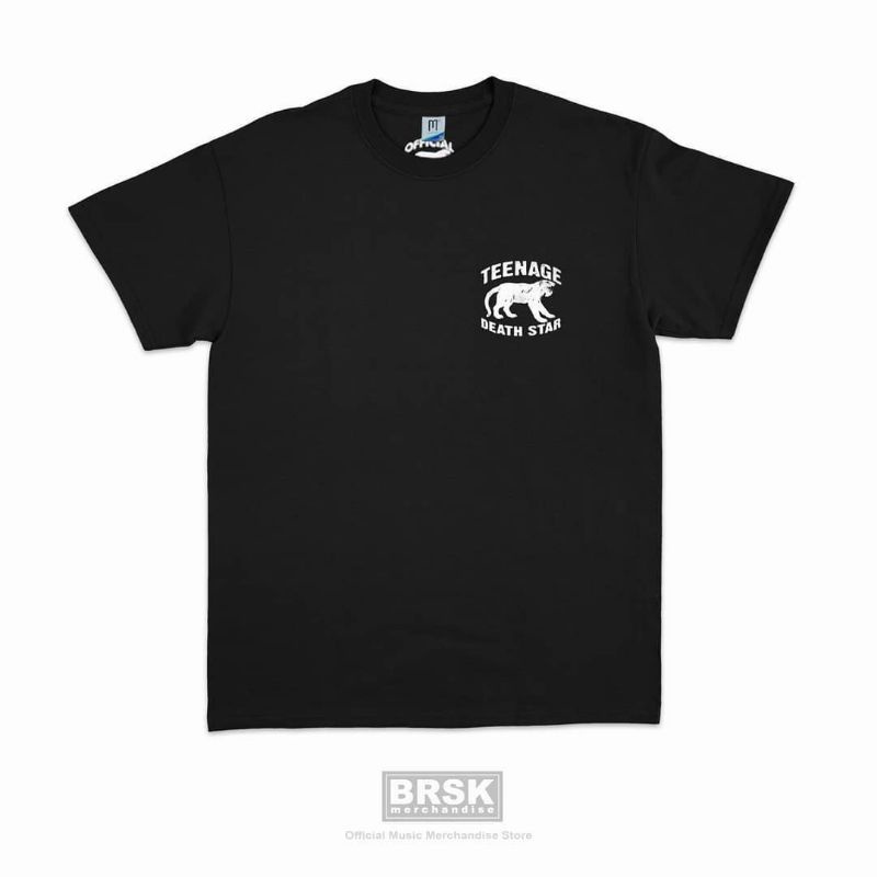 Teenage Death Star - Logo Kecil