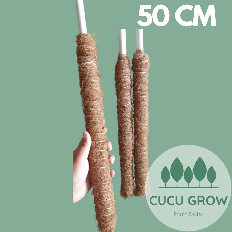 Terbaik Turus / Rambatan 50 cm