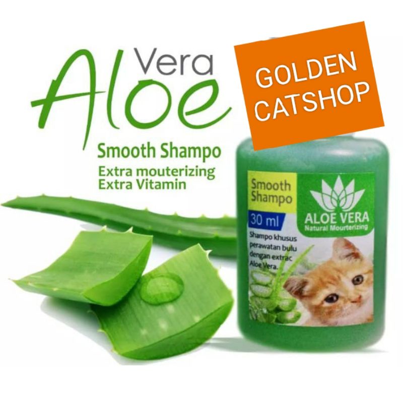 MOLLY SHAMPOO FLEA AND THICK/shampo MOLLY khusus kutu/shampo kucing dan anjing 30ml