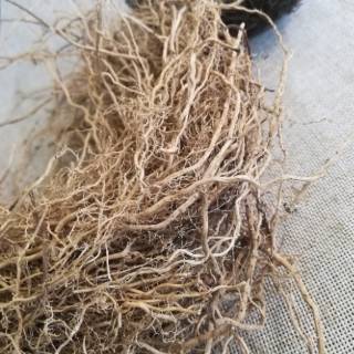AKAR WANGI KERING 20 GRAM HIASAN MAHAR RUSTIC BAHAN AKAR WANGI KERING 20 GRAM HIASAN MAHAR RUSTIC BAHAN