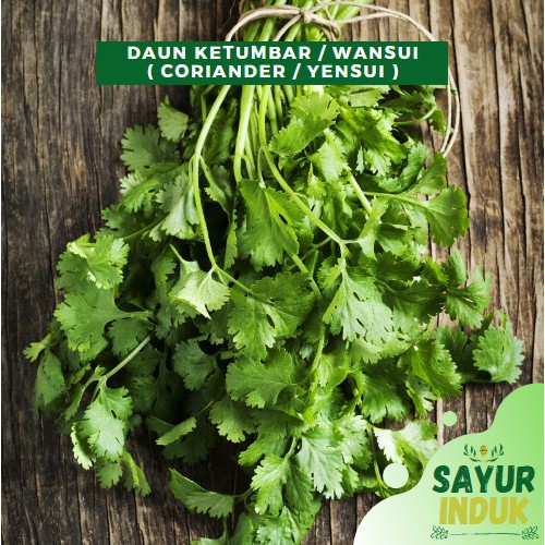 

Sayur Induk - Wansui 100 Gram Fresh Grade A Daun Ketumbar