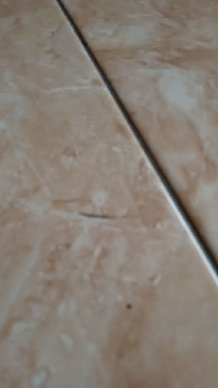 Cotton Bud 1pack Isi 40pcs