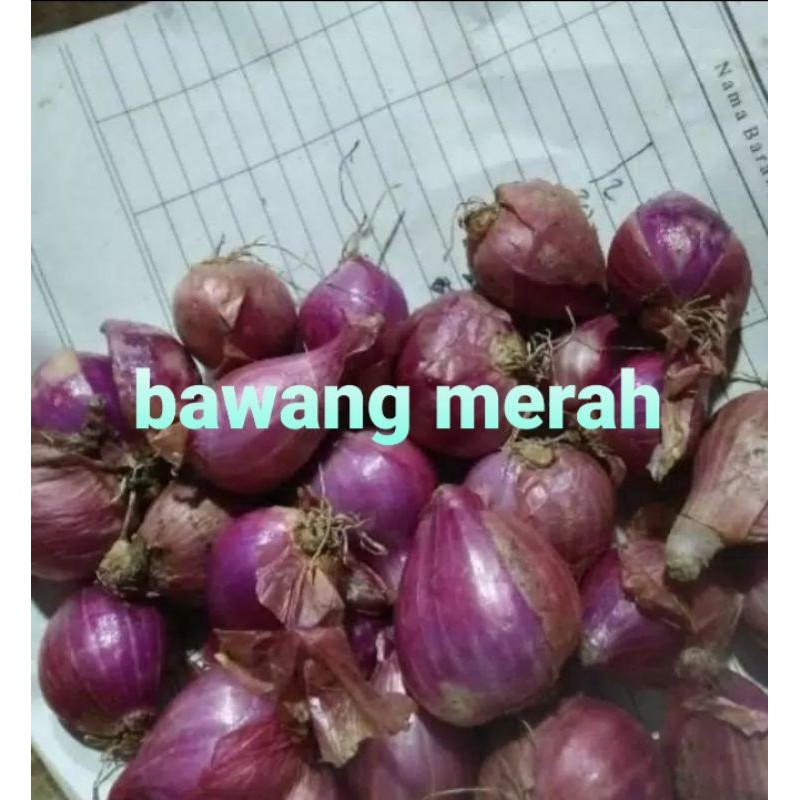 

BAWANG MERAH/500GRAM