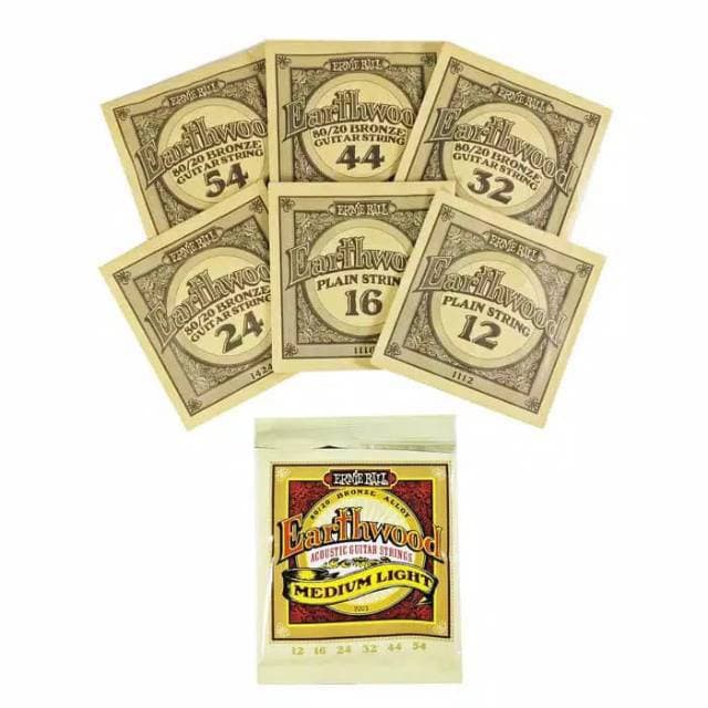 Senar Gitar Akustik Ernie Ball Earthwood String 0.10 0.11 0.12