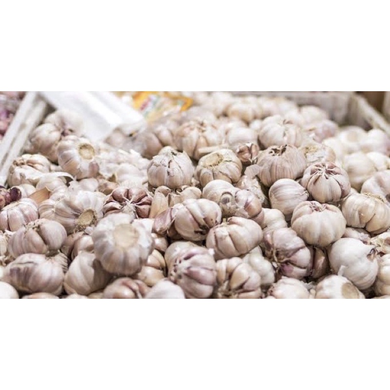 

BAWANG PUTIH KATING ROYAL 1KG