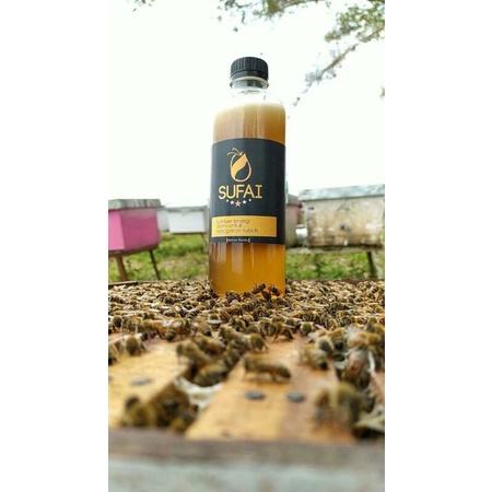 

Madu Sufai 100% Murni Untuk Kekebalan Tubuh