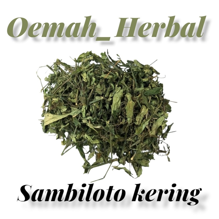 Sambiloto kering 1kg sambiloto cacah kering