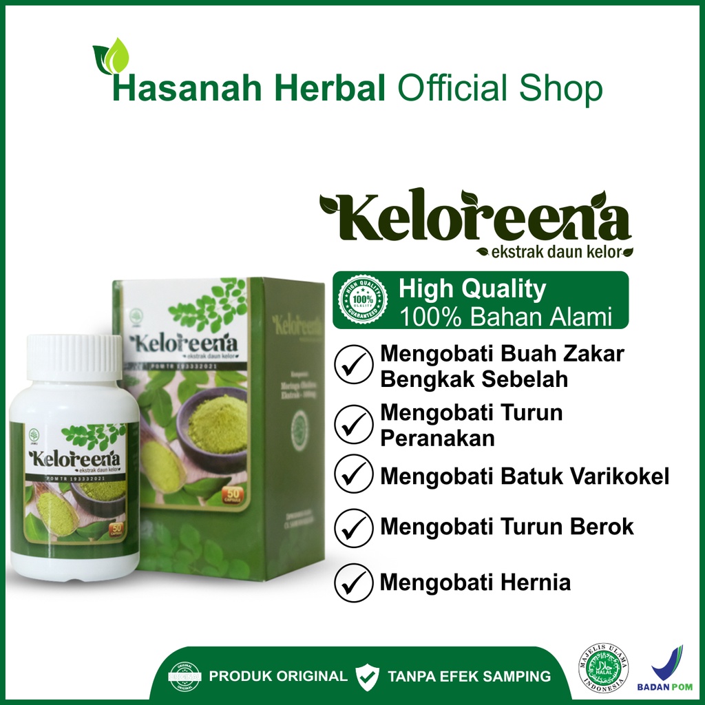 Obat Hernia Turun Berok Peranakan Varikokel Hidrokel Buah Zakar Bengkak Sebelah Untuk Anak dan Dewasa Herbal Keloreena Kapsul Daun Kelor