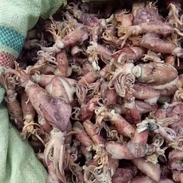 

Cumi asin besar termurah 500gram