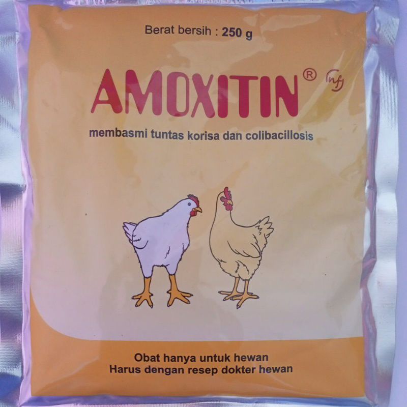 Amoxitin 250gr obat Korisa