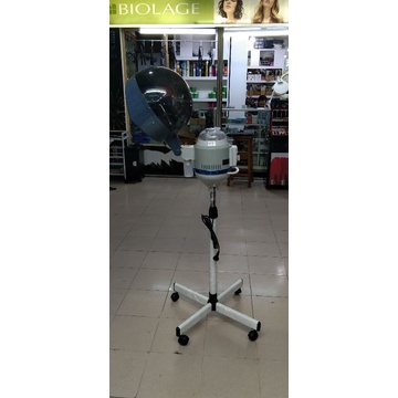 steamer rambut salon