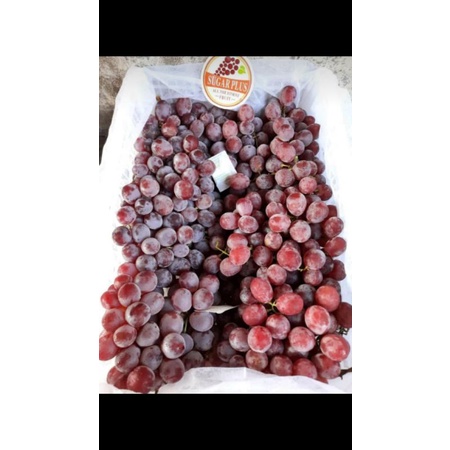

Buah anggur 1kg