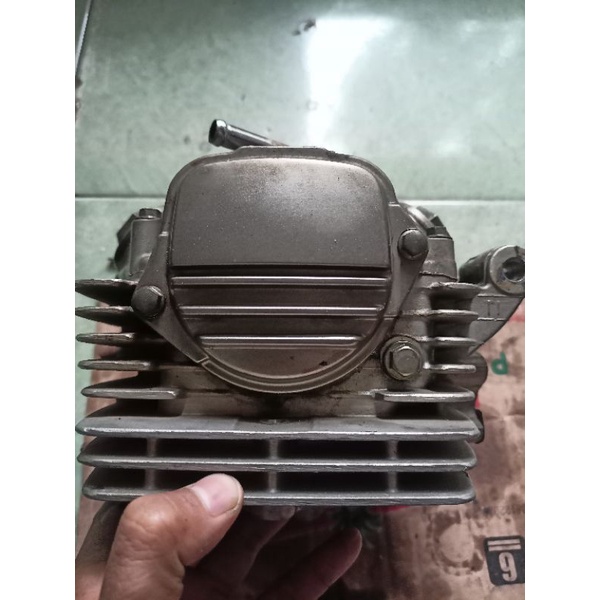 Head Tiger kop tiger blok kop tiger