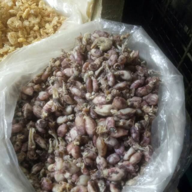 

Cumi baby Sedang 500gr