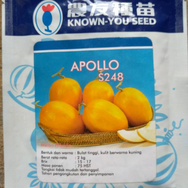 BENIH MELON APOLLO F1