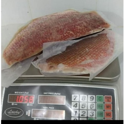 Kakap Merah /Kakap Putih Fillet Frozen