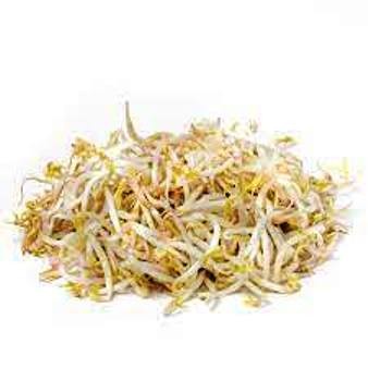 

Toge ORGANIK 300gr