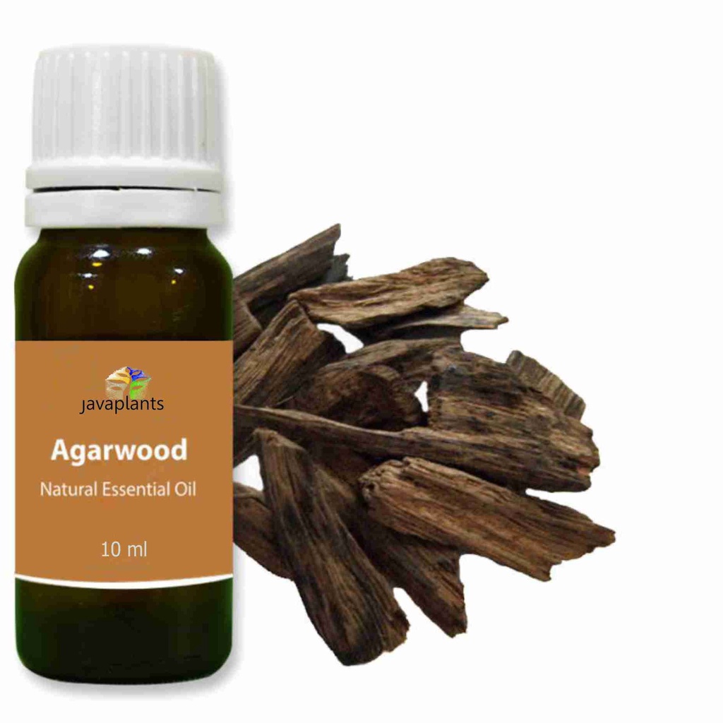 Pure Agarwood Essential Oil 10 ml Minyak Atsiri Murni Gaharu Kalimantan