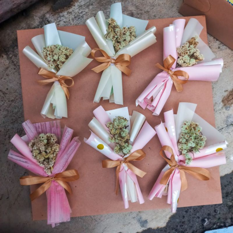 Bucket Edelweis Mini bunga kering || Dried Flower Edelweis