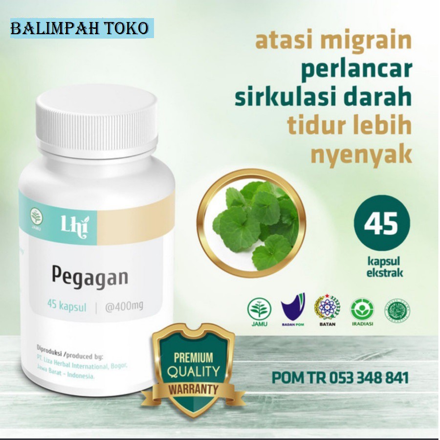 

HERBAL untuk peredaran darah PEGAGAN