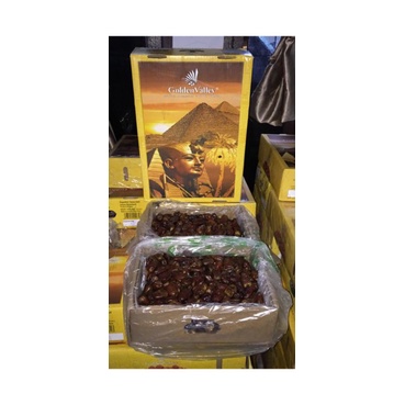 

Kurma Golden Valley