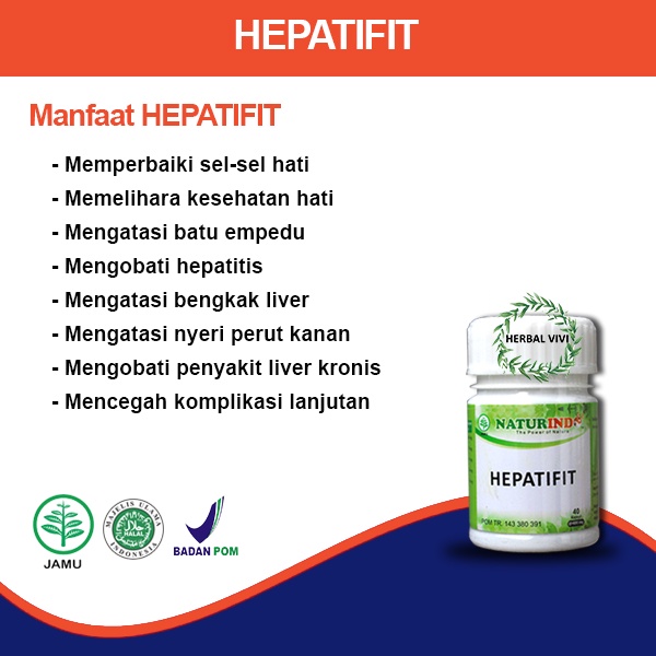 HEPATIFIT obat herbal batu empedu memperbaiki organ hati dan liver nyeri perut kanan dan pencernaan-1