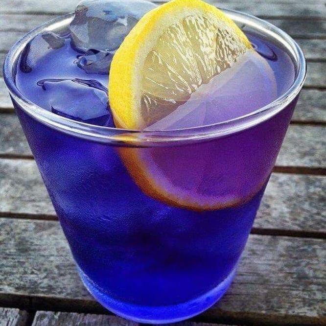 

LZHM TEH BIRU MURNI ORGANIK - BUNGA TELANG KERING - PURE ORGANIC BLUE TEA GYDX