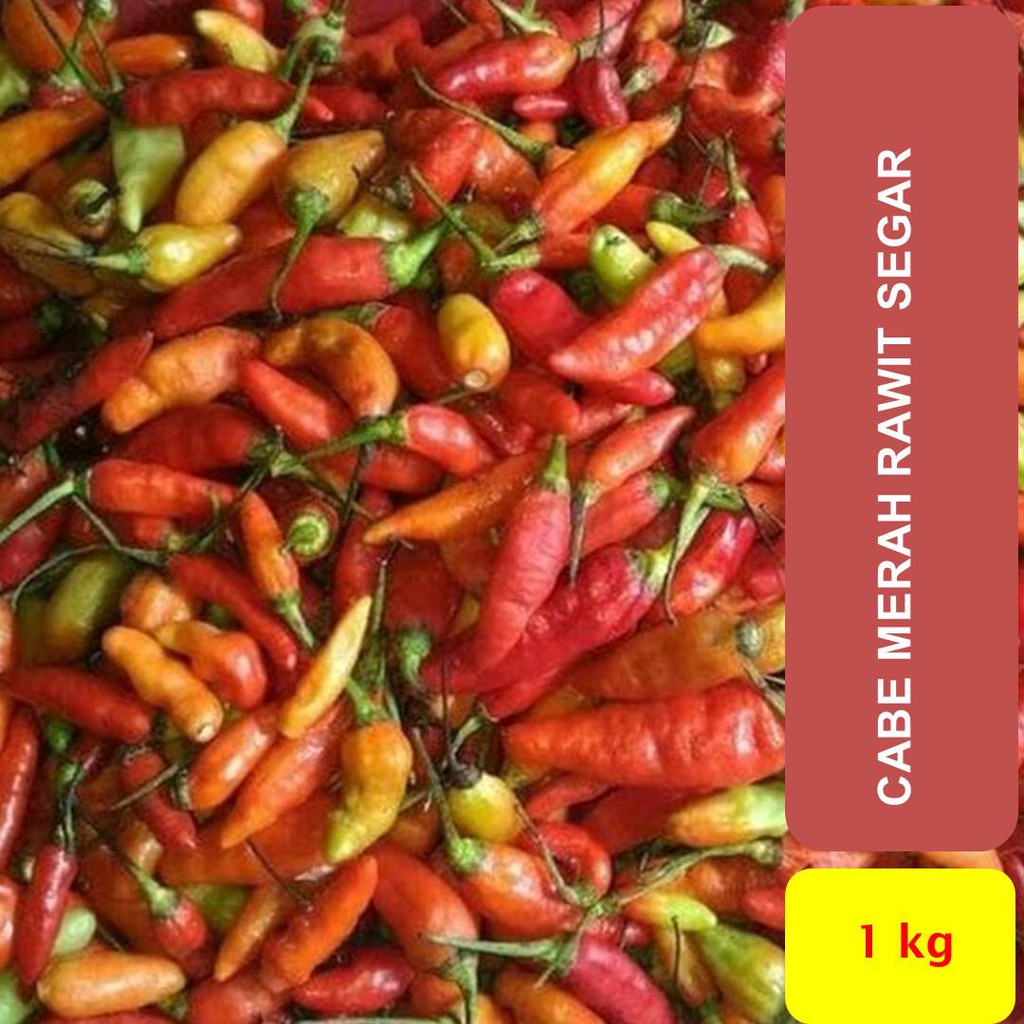 

Cabe Rawit Merah Segar 1000 g
