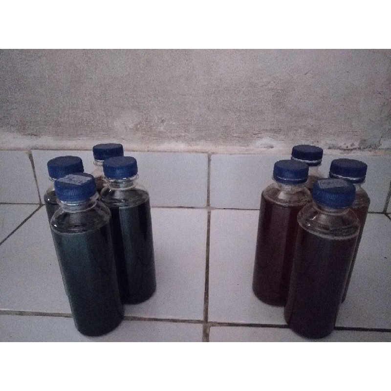 

madu hutan asli sumbawa 250ml